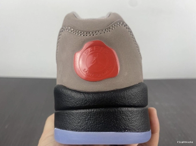 PSG Low 5 DX6325-204 Air x Jordan 1104